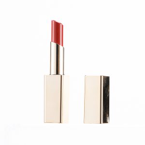 Matte Color Lipstick Long Lasting Waterproof